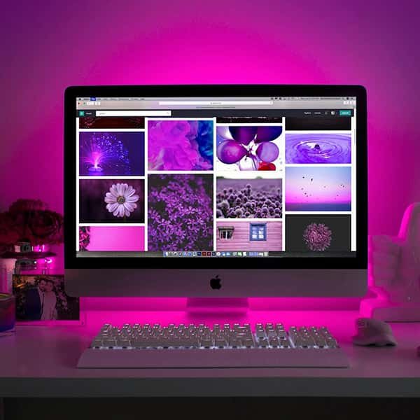 Website Design & Development